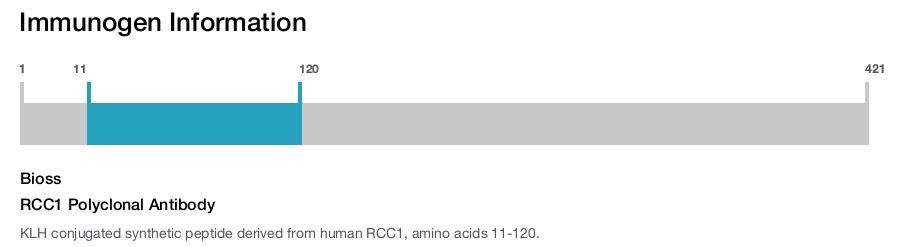 RCC1 Polyclonal Antibody