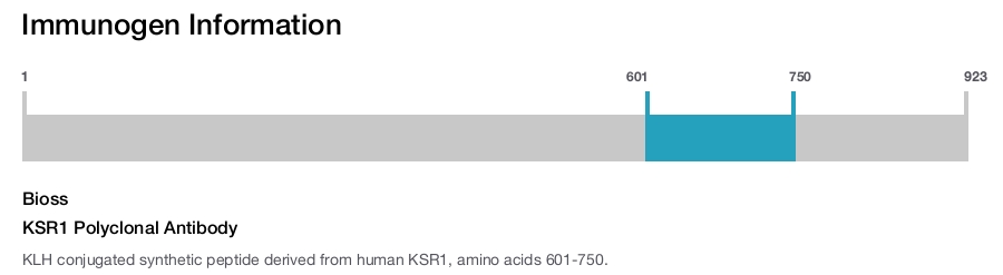 KSR1 Polyclonal Antibody