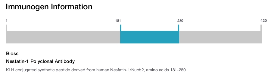 Nesfatin-1 Polyclonal Antibody