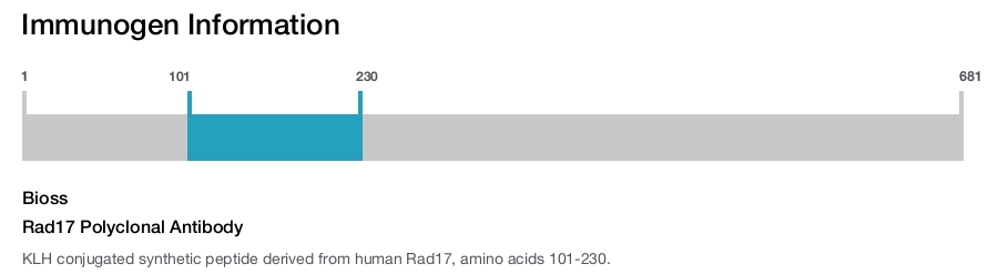 Rad17 Polyclonal Antibody