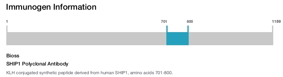 SHIP1 Polyclonal Antibody