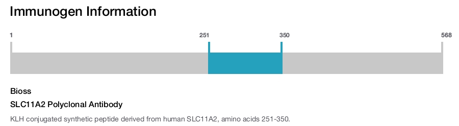 SLC11A2 Polyclonal Antibody