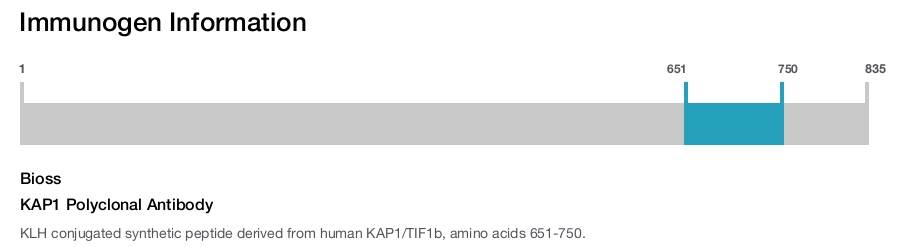KAP1 Polyclonal Antibody