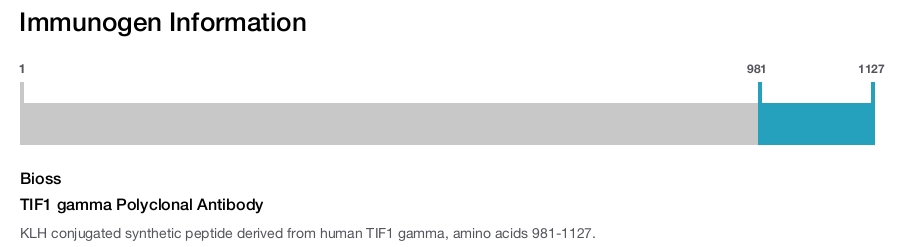 TIF1 gamma Polyclonal Antibody