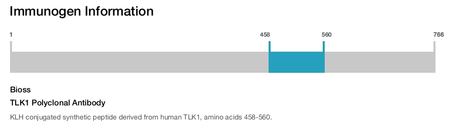 TLK1 Polyclonal Antibody