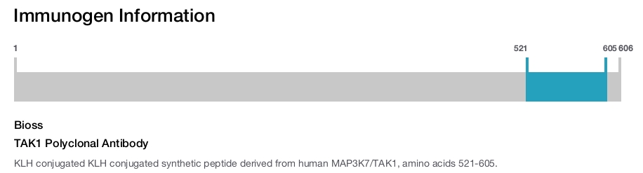 TAK1 Polyclonal Antibody