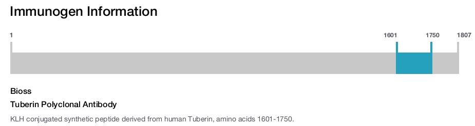 Tuberin Polyclonal Antibody