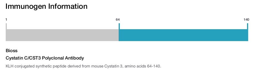 Cystatin C/CST3 Polyclonal Antibody