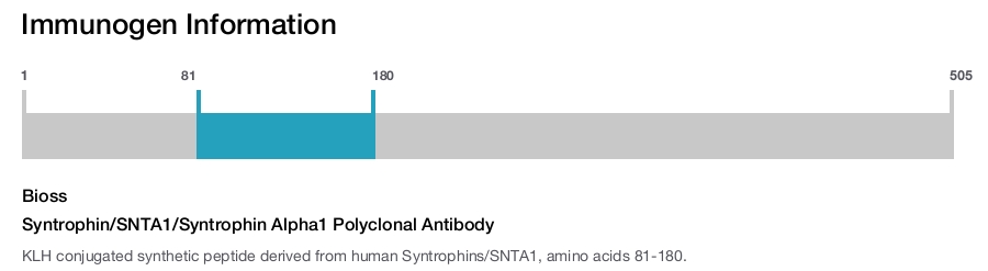 Syntrophin/SNTA1/Syntrophin Alpha1 Polyclonal Antibody