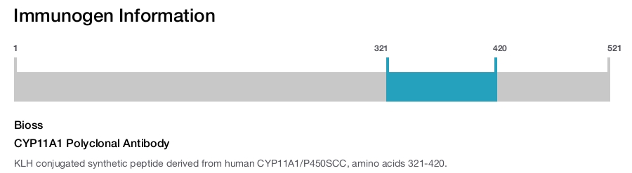 CYP11A1 Polyclonal Antibody