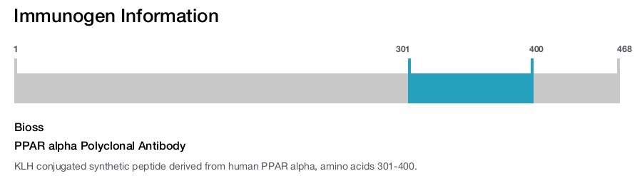 PPAR alpha Polyclonal Antibody