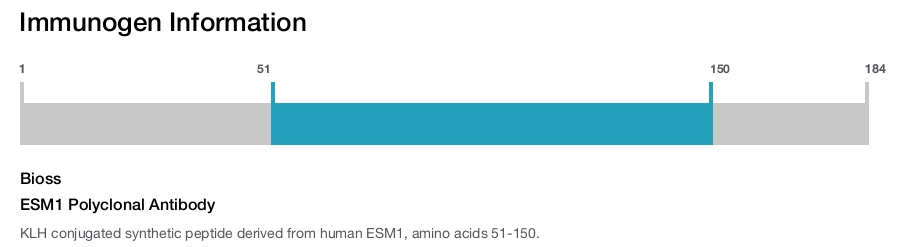 ESM1 Polyclonal Antibody