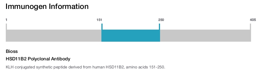HSD11B2 Polyclonal Antibody