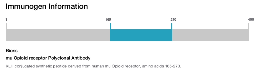mu Opioid receptor Polyclonal Antibody