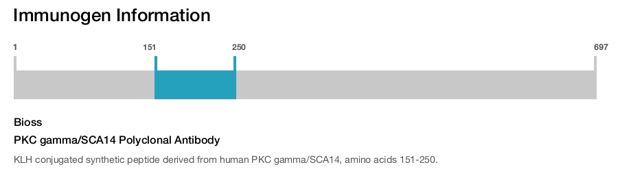 PKC gamma/SCA14 Polyclonal Antibody