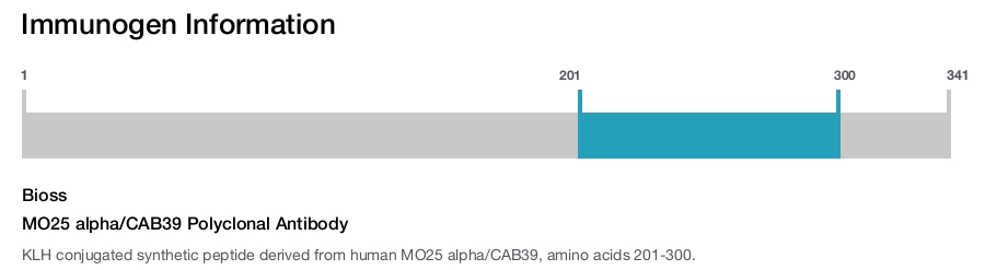 MO25 alpha/CAB39 Polyclonal Antibody