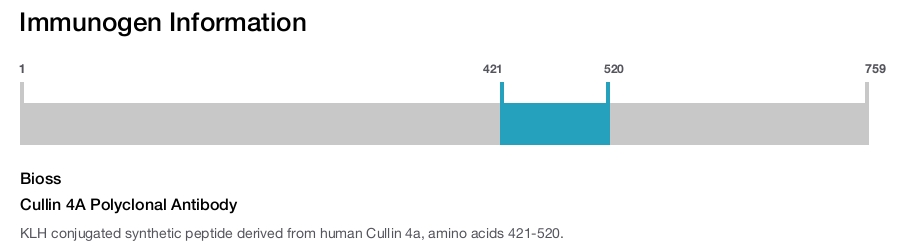 Cullin 4A Polyclonal Antibody