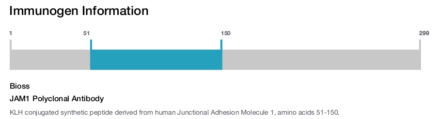 JAM1 Polyclonal Antibody
