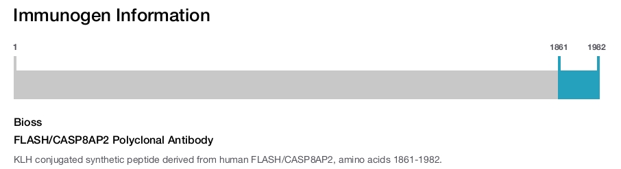 FLASH/CASP8AP2 Polyclonal Antibody