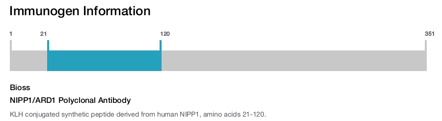 NIPP1/ARD1 Polyclonal Antibody