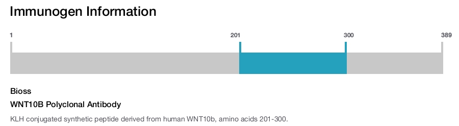 WNT10B Polyclonal Antibody