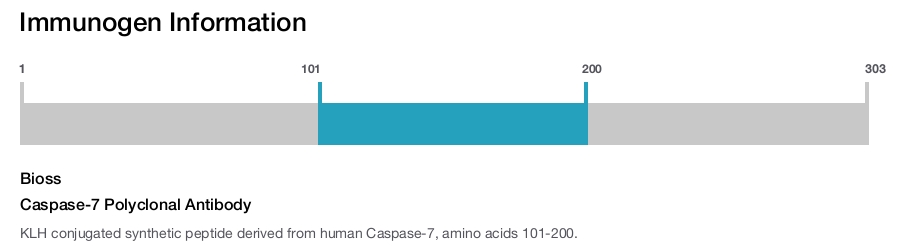 Caspase-7 Polyclonal Antibody