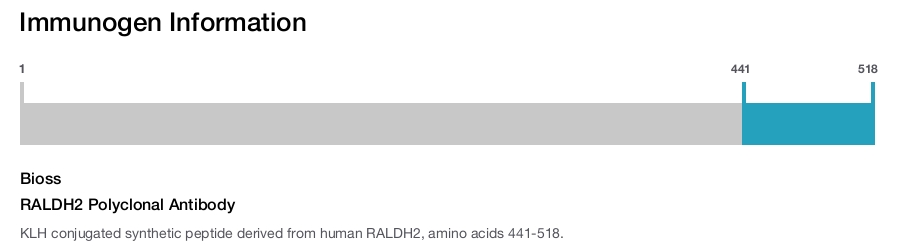 RALDH2 Polyclonal Antibody