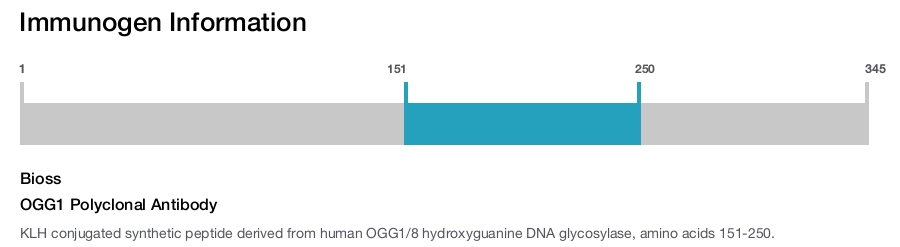 OGG1 Polyclonal Antibody