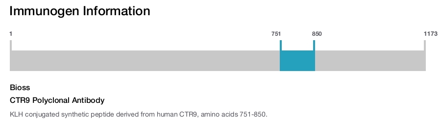 CTR9 Polyclonal Antibody