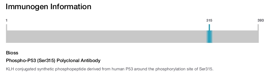Phospho-P53 (Ser315) Polyclonal Antibody