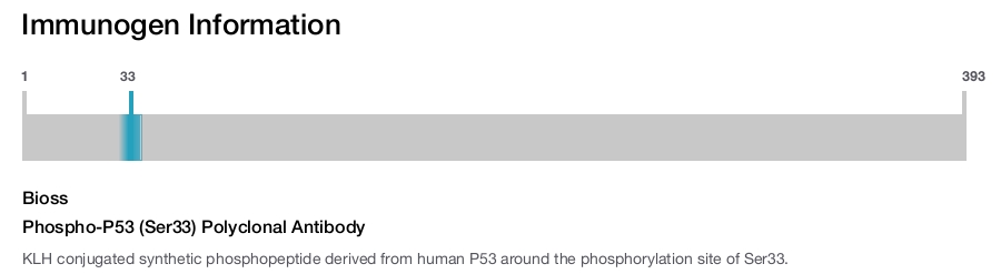 Phospho-P53 (Ser33) Polyclonal Antibody