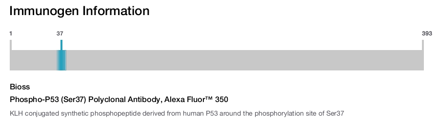 Phospho-P53 (Ser37) Polyclonal Antibody, Alexa Fluor&trade; 350