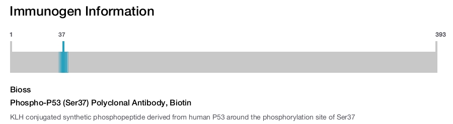 Phospho-P53 (Ser37) Polyclonal Antibody, Biotin