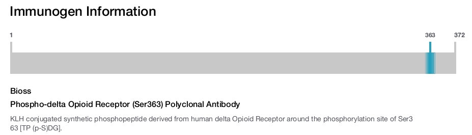 Phospho-delta Opioid Receptor (Ser363) Polyclonal Antibody