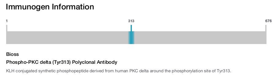Phospho-PKC delta (Tyr313) Polyclonal Antibody
