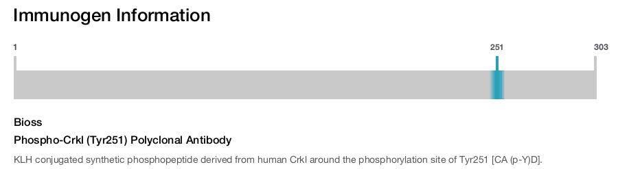 Phospho-Crkl (Tyr251) Polyclonal Antibody