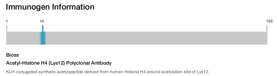 Acetyl-Histone H4 (Lys12) Polyclonal Antibody