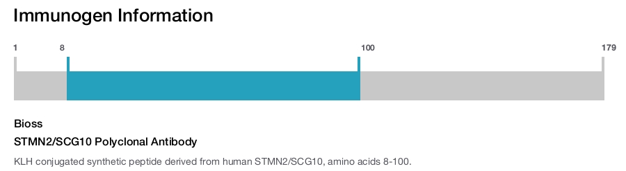 STMN2/SCG10 Polyclonal Antibody