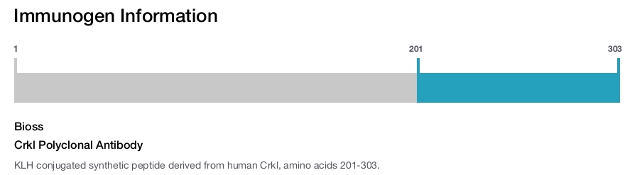 Crkl Polyclonal Antibody