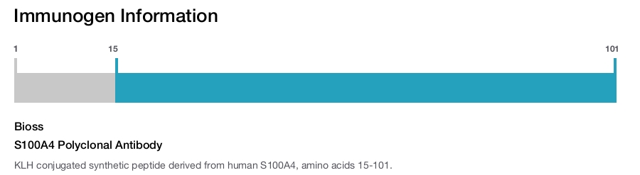 S100A4 Polyclonal Antibody