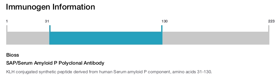 SAP/Serum Amyloid P Polyclonal Antibody