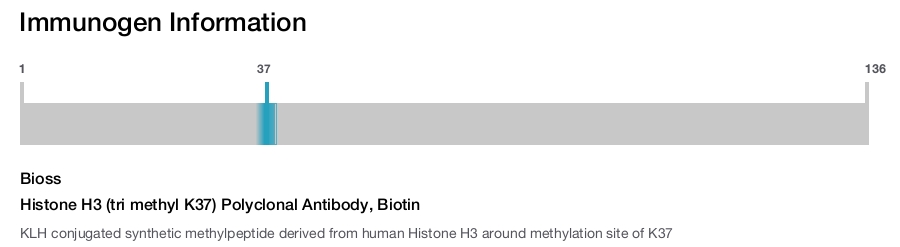 Histone H3 (tri methyl K37) Polyclonal Antibody, Biotin