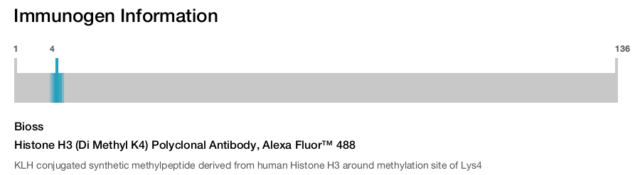 Histone H3 (Di Methyl K4) Polyclonal Antibody, Alexa Fluor™ 488