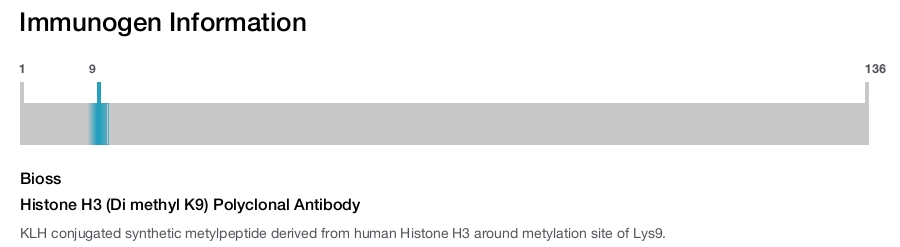 Histone H3 (Di methyl K9) Polyclonal Antibody