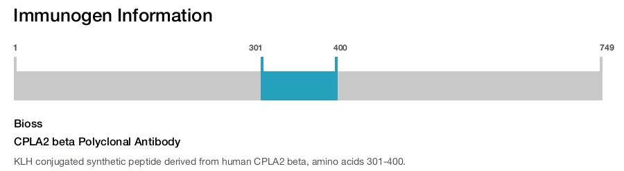 CPLA2 beta Polyclonal Antibody