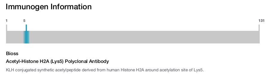 Acetyl-Histone H2A (Lys5) Polyclonal Antibody
