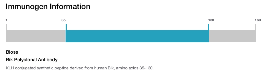 Bik Polyclonal Antibody