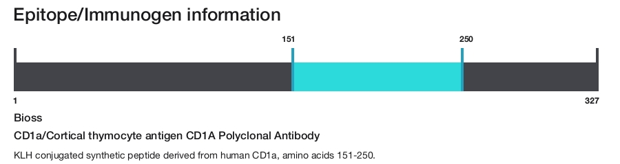 CD1a/Cortical thymocyte antigen CD1A Polyclonal Antibody