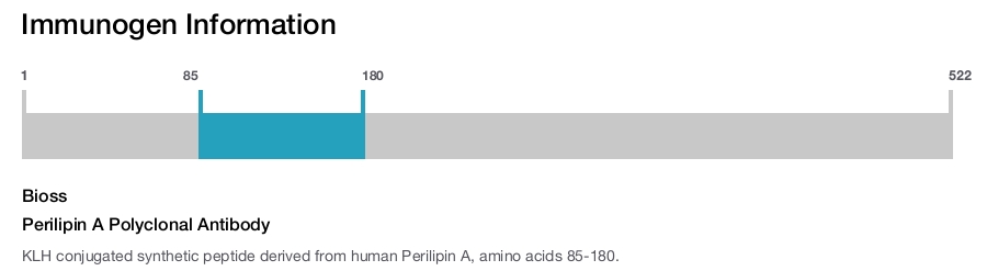 Perilipin A Polyclonal Antibody