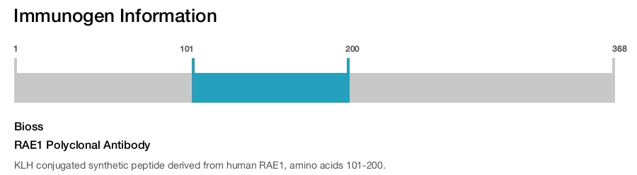 RAE1 Polyclonal Antibody